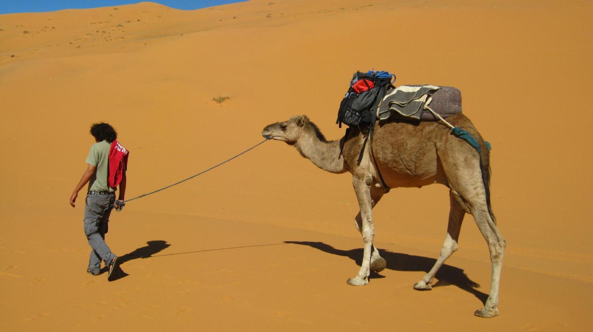 Auberge Camping Ocean Des Dunes Merzouga Exterior photo