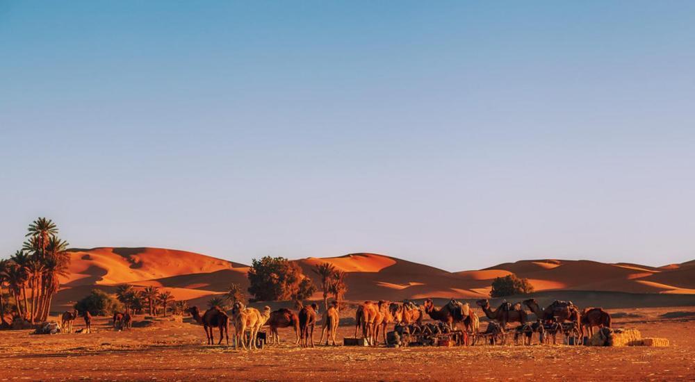 Auberge Camping Ocean Des Dunes Merzouga Exterior photo